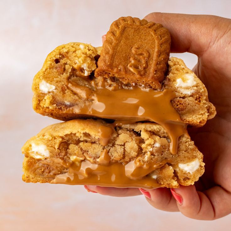 Lotus Biscoff Cookies (Pack of 4)
